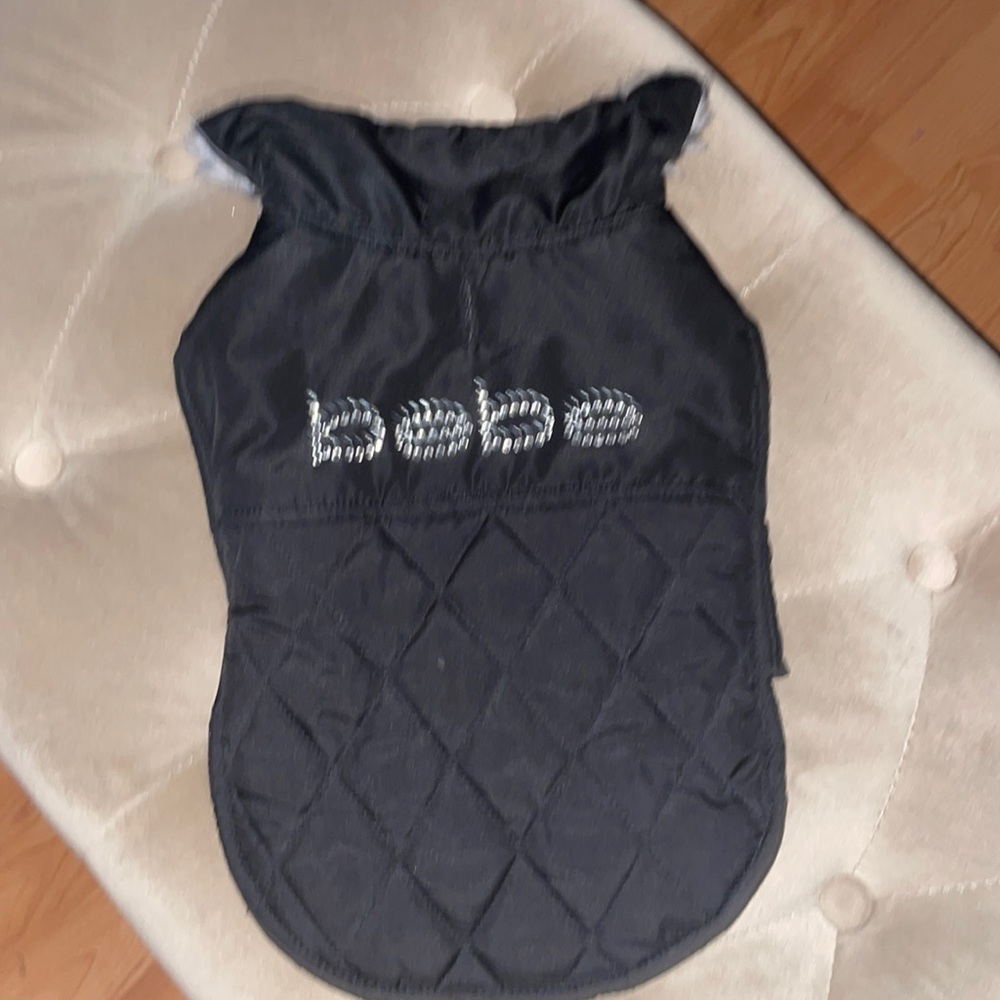 Cute bebe outfit